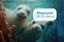 Билеты по специальным ценам